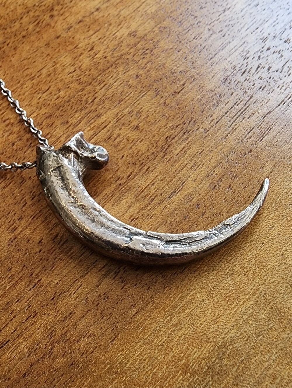 Pamela Love Rare Silver Eagle Talon Necklace - Picture 3 of 8